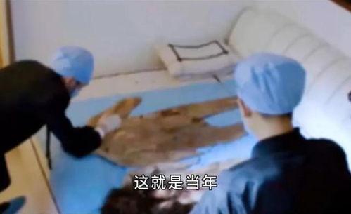 吃瓜杀妻,一场荒诞悲剧的真相揭秘