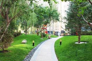 恒大滨河吃瓜,揭秘吃瓜群众的围观盛宴