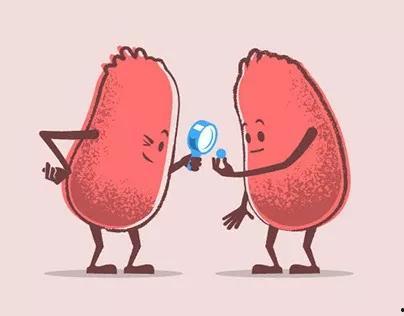 肾移植可以吃西湖瓜吗,西湖瓜的适宜性分析