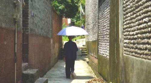 崇文吃瓜群众事迹,见证时代变迁的民间观察者