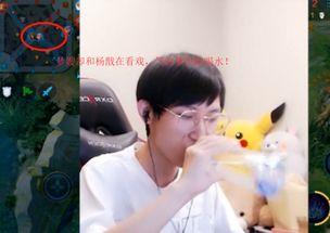 梦泪直播吃瓜,瓜田李下，揭秘电竞圈幕后风云