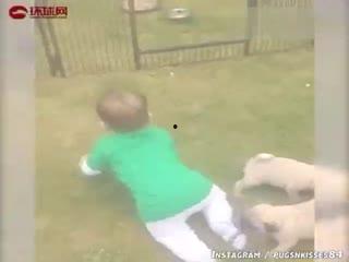 宝宝吃瓜搞笑画面,瓜果飘香，萌态可掬