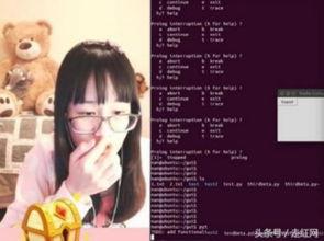 吃瓜萌主的直播,吃瓜萌主带你领略美食与娱乐的狂欢盛宴