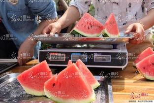 聊城今日吃瓜新闻,今日热点事件盘点