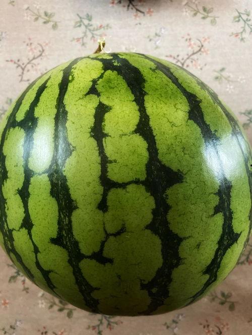 吃瓜的视频表演,趣味横生的表演盛宴