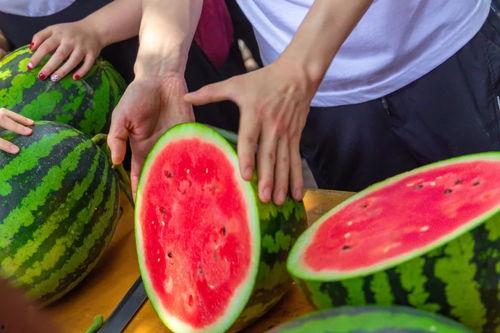 改名字吃瓜,揭秘“吃瓜群众”背后的故事