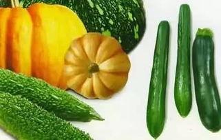 馋宝吃瓜,揭秘娱乐圈那些鲜为人知的幕后故事