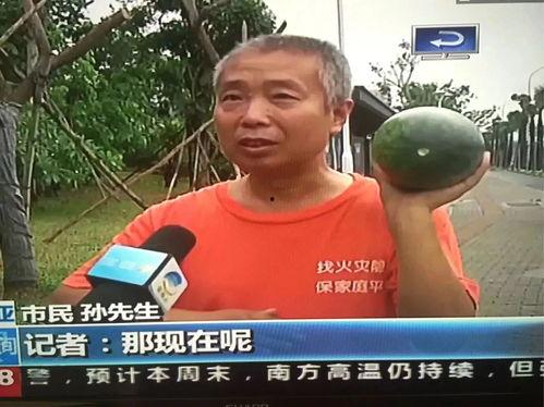 吃瓜最新热门事件新闻,揭秘最新热门吃瓜事件背后的真相