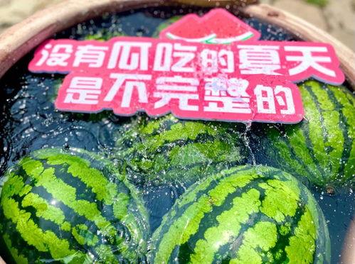 夏日大型吃瓜现场,大型吃瓜现场，全民共享清凉盛宴