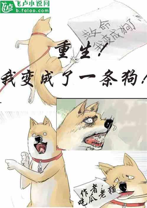 吃瓜两年小说,揭秘娱乐圈背后的真相