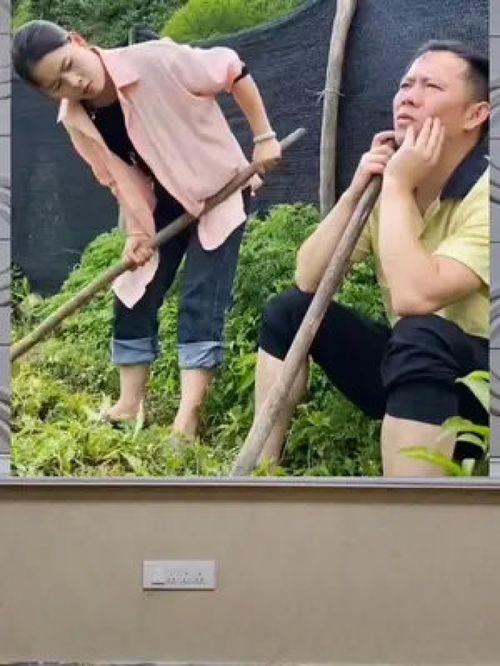 娱乐八卦一定是吃瓜群众的