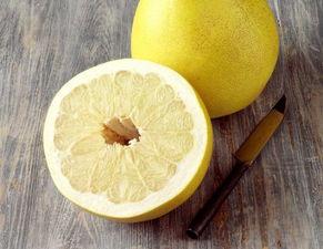 柚子猫吃瓜,柚子猫的瓜田奇遇记